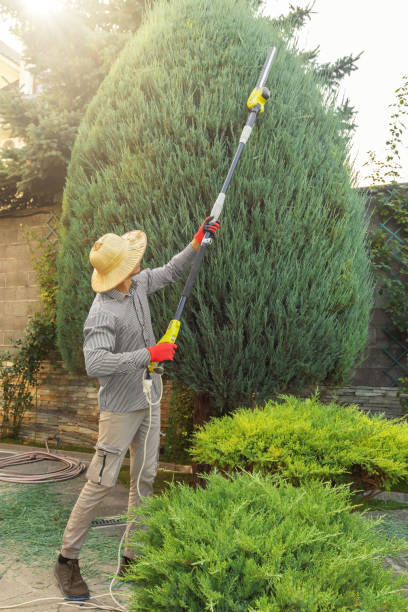 Best Arborist Consultation Services  in Galax, VA